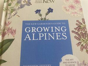 Growing Alpines